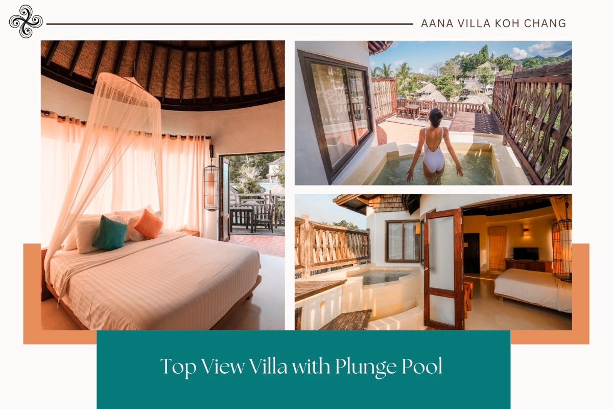 aana-topview