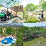 Alongkorn farm and resort (อลงกรณ์ ฟาร์ม แอนด์ รีสอร์ต) ห้อง บ้านลอฟท์ 2 ท่าน แก่งกระจาน
