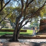 ทัวร์เต็มวัน ปั่นจักรยานชมเมืองโบราณอยุธยา + นวด 2 ชม. + ล่องเรือรับประทานอาหาร