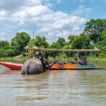 ล่องเรือรอบเกาะเมืองอยุธยา ชมเมือง ไหว้พระ ชมช้างอาบน้ำ สำหรับ 10-12 ท่าน, อยุธยา