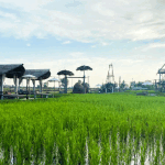 ทัวร์ส่วนตัว อยุธยาเต็มวัน : ชมมรดกโลกยูเนสโก เที่ยวรักษ์นา คาเฟ่ + รถรับ-ส่งจากกรุงเทพ