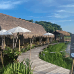 ทัวร์ส่วนตัว อยุธยาเต็มวัน : ชมมรดกโลกยูเนสโก เที่ยวรักษ์นา คาเฟ่ + รถรับ-ส่งจากกรุงเทพ