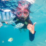 ทริปดำน้ำแสมสาร เรือสปีดโบ๊ท (เหมาลำ) สำหรับ 1-6 ท่าน , สัตหีบ ชลบุรี