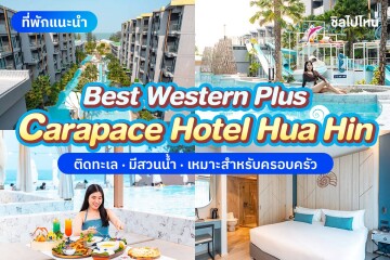 Best Western Plus Carapace Hotel Hua Hin (โรงแรม เบสท์ เวสเทิร์น พลัส คาราเพซ หัวหิน) ห้อง Superior 2 ท่าน, หัวหิน