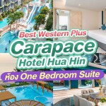 Best Western Plus Carapace Hotel Hua Hin (โรงแรม เบสท์ เวสเทิร์น พลัส คาราเพซ หัวหิน) ห้อง One Bedroom Suite 2 ท่าน