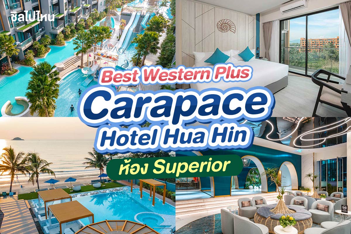 Best Western Plus Carapace Hotel Hua Hin (โรงแรม เบสท์ เวสเทิร์น พลัส คาราเพซ หัวหิน)  ห้อง Superior 2 ท่าน, หัวหิน