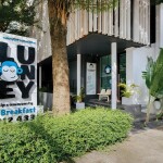 Blu Monkey Hotels (บลูมังกี้ โฮเทล) ห้อง Chimpanzee pod 2 ท่าน ภูเก็ต