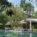 Blu Monkey Hotels (บลูมังกี้ โฮเทล) ห้อง Chimpanzee pod 2 ท่าน ภูเก็ต