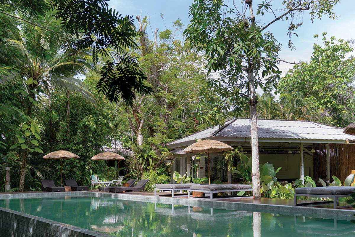 Blu Monkey Hotels (บลูมังกี้ โฮเทล) ห้อง Chimpanzee pod 2 ท่าน ภูเก็ต