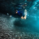 เรือไม้หัวโทง One Day Trip ดำน้ำตื้น เกาะร้านเป็ด - ร้านไก่ ชุมพร รวมเซตอาหารทะเล ถ่ายรูปใต้น้ำสุดปัง