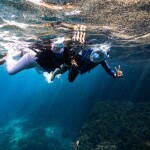 เรือไม้หัวโทง One Day Trip ดำน้ำตื้น เกาะร้านเป็ด - ร้านไก่ ชุมพร รวมเซตอาหารทะเล ถ่ายรูปใต้น้ำสุดปัง