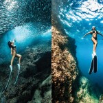 เรือไม้หัวโทง One Day Trip ดำน้ำตื้น เกาะร้านเป็ด - ร้านไก่ ชุมพร รวมเซตอาหารทะเล ถ่ายรูปใต้น้ำสุดปัง