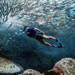 เรือไม้หัวโทง One Day Trip ดำน้ำตื้น เกาะร้านเป็ด - ร้านไก่ ชุมพร รวมเซตอาหารทะเล ถ่ายรูปใต้น้ำสุดปัง