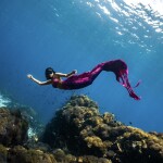 เรือไม้หัวโทง One Day Trip ดำน้ำตื้น เกาะร้านเป็ด - ร้านไก่ ชุมพร รวมเซตอาหารทะเล ถ่ายรูปใต้น้ำสุดปัง