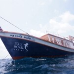 เรือไม้หัวโทง One Day Trip ดำน้ำตื้น เกาะร้านเป็ด - ร้านไก่ ชุมพร รวมเซตอาหารทะเล ถ่ายรูปใต้น้ำสุดปัง