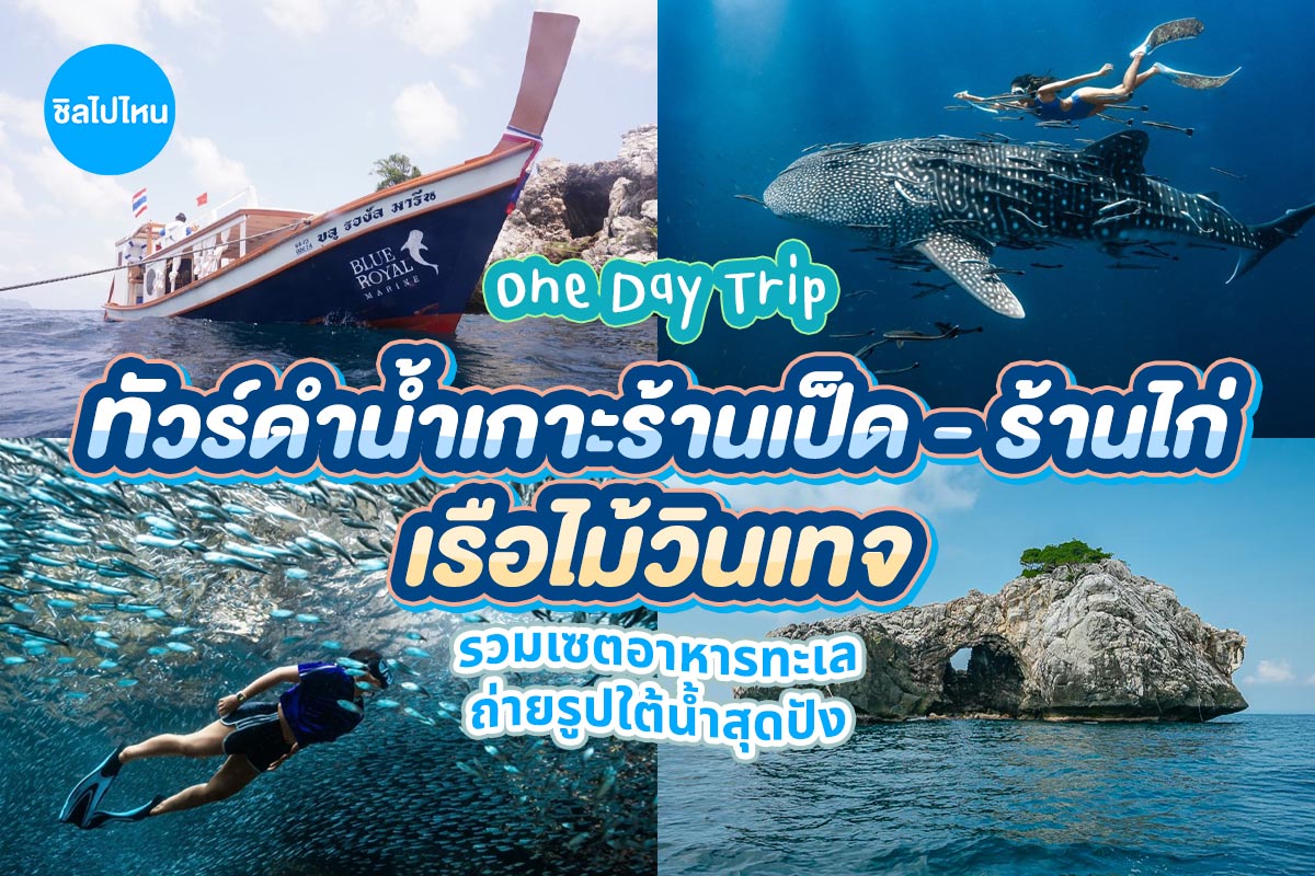 เรือไม้หัวโทง One Day Trip ดำน้ำตื้น เกาะร้านเป็ด - ร้านไก่ ชุมพร รวมเซตอาหารทะเล ถ่ายรูปใต้น้ำสุดปัง