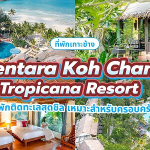 Centara Koh Chang Tropicana Resort (เซ็นทารา เกาะช้าง ทรอปิคานา รีสอร์ท) ห้อง SUPERIOR 2 ท่าน ,เกาะช้าง