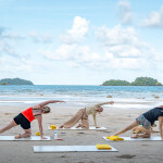 Centara Koh Chang Tropicana Resort (เซ็นทารา เกาะช้าง ทรอปิคานา รีสอร์ต) ห้อง SUPERIOR 2 ท่าน ,เกาะช้าง