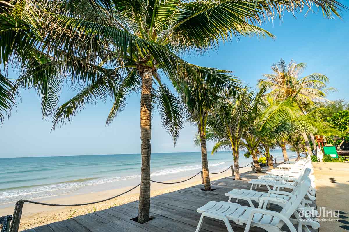 Chaolao Cabana Resort (เจ้าหลาว คาบาน่า รีสอร์ต) ห้อง Deluxe Pool View 2 ท่าน จันทบุรี