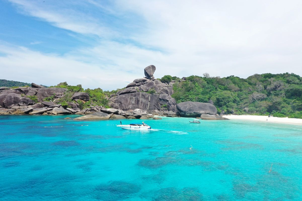 เรือสปีดโบ๊ท One Day Trip ทัวร์หมู่เกาะสิมิลัน + อาหาร 3 มื้อ + รถรับ-ส่ง, ภูเก็ต (จอย)