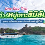เรือสปีดโบ๊ท One Day Trip ทัวร์หมู่เกาะสิมิลัน + อาหาร 3 มื้อ + รถรับ-ส่ง, ภูเก็ต (จอย)