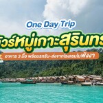 เรือสปีดโบ๊ท One Day Trip ทัวร์หมู่เกาะสุรินทร์ + อาหาร 3 มื้อ + รถรับ-ส่ง, เขาหลัก พังงา (จอย)