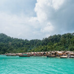 เรือสปีดโบ๊ท One Day Trip ทัวร์หมู่เกาะสุรินทร์ + อาหาร 3 มื้อ + รถรับ-ส่ง, ภูเก็ต (จอย)