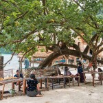 เรือสปีดโบ๊ท One Day Trip ทัวร์หมู่เกาะสุรินทร์ + อาหาร 3 มื้อ + รถรับ-ส่ง, ภูเก็ต (จอย)