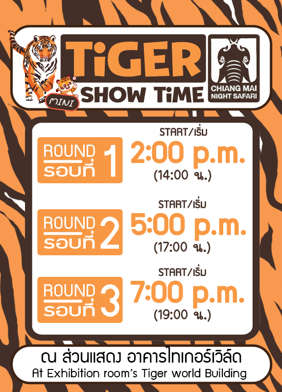 Mini Tiger Show Activity Schedule