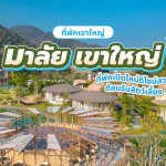 Malai Khao Yai (มาลัย เขาใหญ่) ห้อง Creek Villa (บ้านริมลำธาร) 2 ท่าน, เขาใหญ่