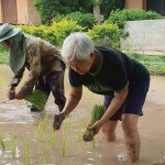 Coolliving Farmhouse (คูลลิฟวิ่ง ฟาร์มเฮ้า) ห้อง Farmhouse outdoor Bath 2 ท่าน, วังน้ำเขียว นครราชสีมา