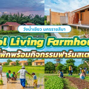 Coolliving Farmhouse (คูลลิฟวิ่ง ฟาร์มเฮ้า) ห้อง Farmhouse outdoor Bath 2 ท่าน พร้อมกิจกรรมในฟาร์ม , วังน้ำเขียว เขาใหญ่