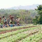 Coolliving Farmhouse (คูลลิฟวิ่ง ฟาร์มเฮ้า) ห้อง Farmhouse outdoor Bath 2 ท่าน, วังน้ำเขียว นครราชสีมา