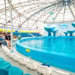 บัตรเข้าชมโชว์ปลาโลมา pattaya dolphinarium (พัทยาดอลฟินาเรียม), พัทยา