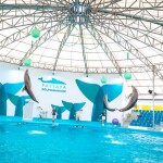 บัตรเข้าชมโชว์ปลาโลมา pattaya dolphinarium (พัทยาดอลฟินาเรียม), พัทยา