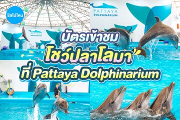 Pattaya Dolphinarium