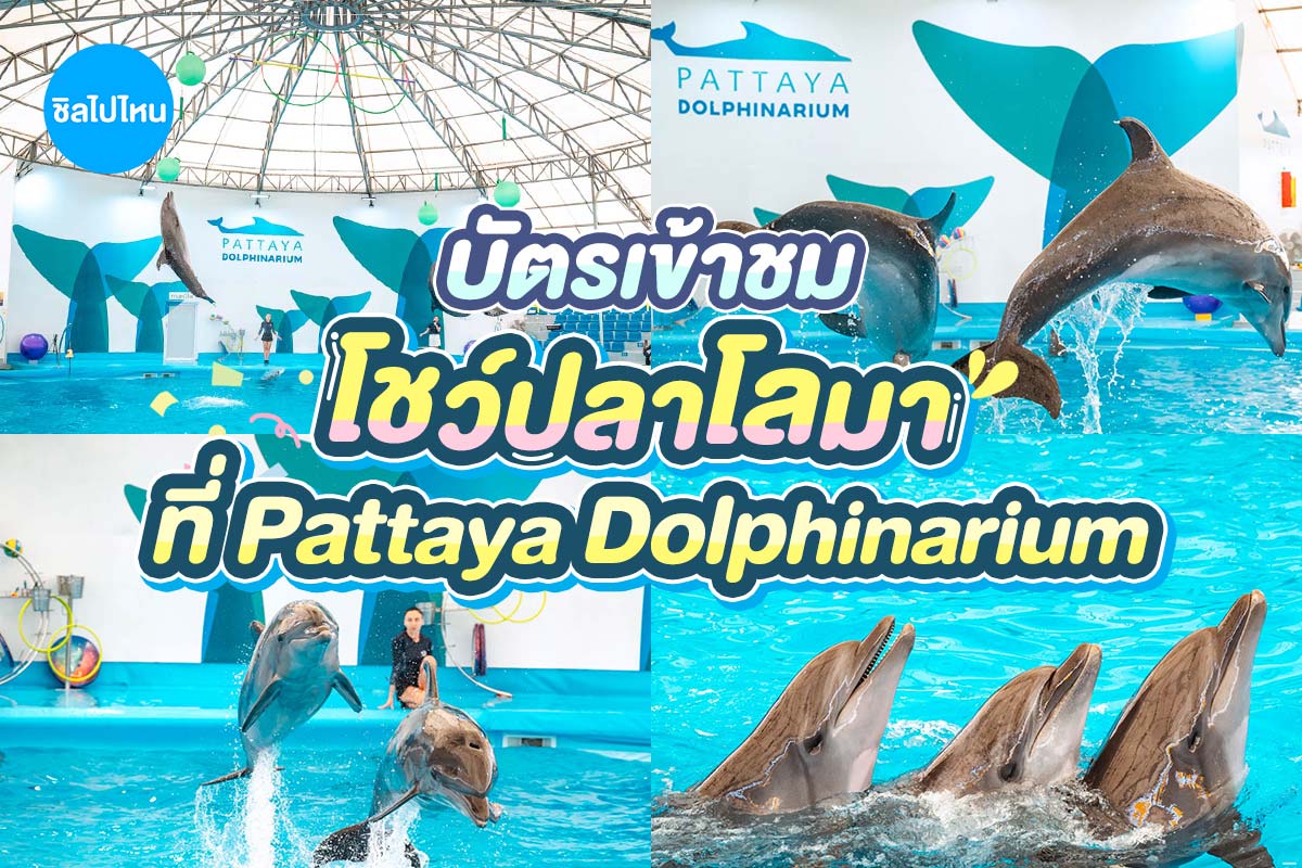 voucher/dolphin/dolphinarium800-2.jpg