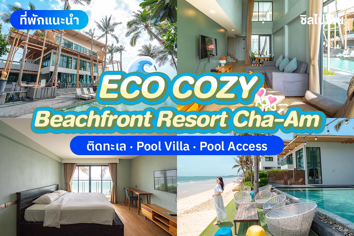Eco Cozy Beachfront Resort Chaam (อีโค โคซี่ บีชฟรอนท์ รีสอร์ท ชะอำ) ห้อง Superior 2 ท่าน , หัวหิน