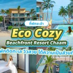 Eco Cozy Beachfront Resort Chaam (อีโค โคซี่ บีชฟรอนท์ รีสอร์ต ชะอำ) ห้อง Superior Room 2 ท่าน ,ชะอำ