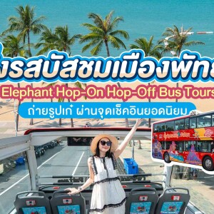 City Sightseeing Pattaya : ตั๋วรถบัสเปิดประทุน Hop-on, Hop-off ชมเมืองพัทยา