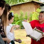 ทัวร์ชมช้าง Elephant Jungle Sanctuary (เอเลเฟ่น จังเกิ้ล แซงชัวรี) โปรแกรมครึ่งวัน พร้อมรถรับส่ง,พัทยา