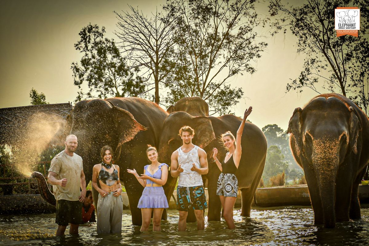 ทัวร์ชมช้าง 1 ชม. Elephant Jungle Sanctuary (เอเลเฟ่น จังเกิ้ล แซงชัวรี) ,พัทยา