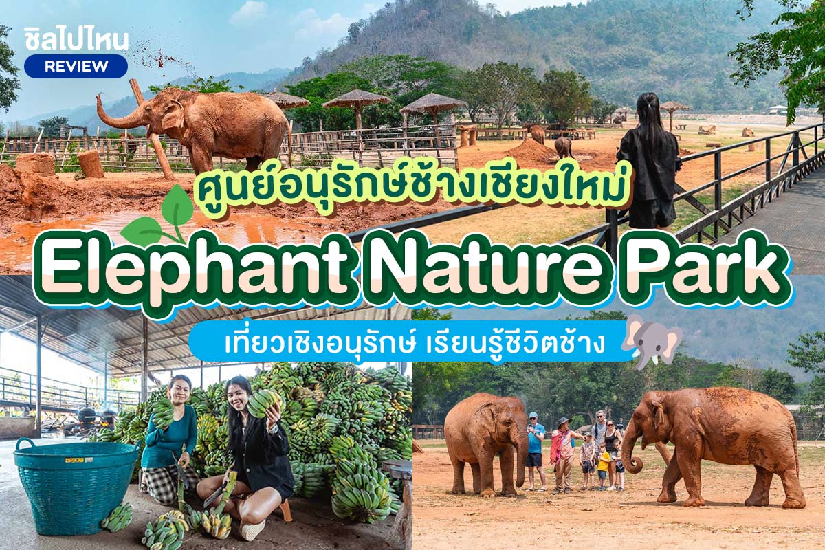 บัตรทัวร์เยี่ยมชมช้าง ครึ่งวัน Elephant Nature Park (เอเลเฟ่น เนเจอร์ พาร์ค) ,เชียงใหม่