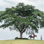 Estella Khaoyai (เอสเตลล่า เขาใหญ่) ห้อง Deluxe 2 ท่าน, เขาใหญ่