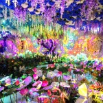 บัตรเข้าชมพิพิธภัณฑ์ Fantastic Phuket , ภูเก็ต