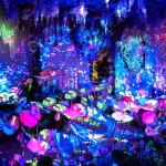 บัตรเข้าชมพิพิธภัณฑ์ Fantastic Phuket , ภูเก็ต