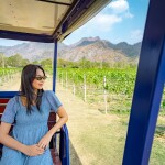 บัตรทัวร์ไร่องุ่น พร้อมชิมไวน์ ที่ GranMonte Vineyard and Winery , เขาใหญ่