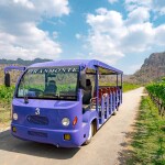 บัตรทัวร์ไร่องุ่น พร้อมชิมไวน์ ที่ GranMonte Vineyard and Winery , เขาใหญ่