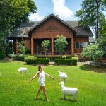 Heaven Kwai Resort (เฮฟเว่น แคว รีสอร์ท) ห้อง แพชวนชม+อาหาร 3 มื้อ+ล่องแพเปียก, 2 ท่าน, กาญจนบุรี