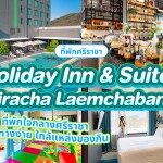 Holiday Inn and Suites Siracha Laemchabang (ฮอลิเดย์ อินน์ แอนด์ สวีท ศรีราชา แหลมฉบัง) ห้อง Standard  2 ท่าน ศรีราชา